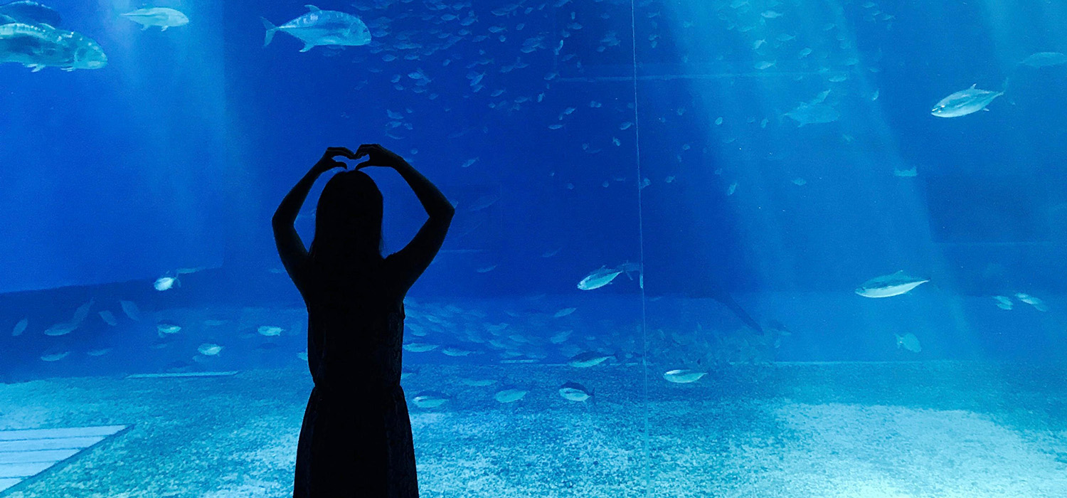 Eine Person steht vor einem Aquarium mit Fischen