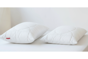 2 Zizzz swisswool pillows with different thickness