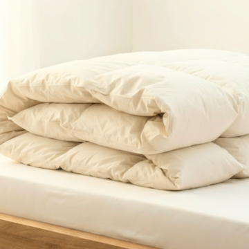 Duvet de Canard Ecologique – 240x240cm 