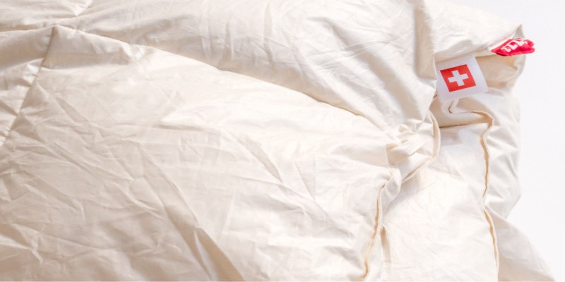 duvet oie canard Zizzz