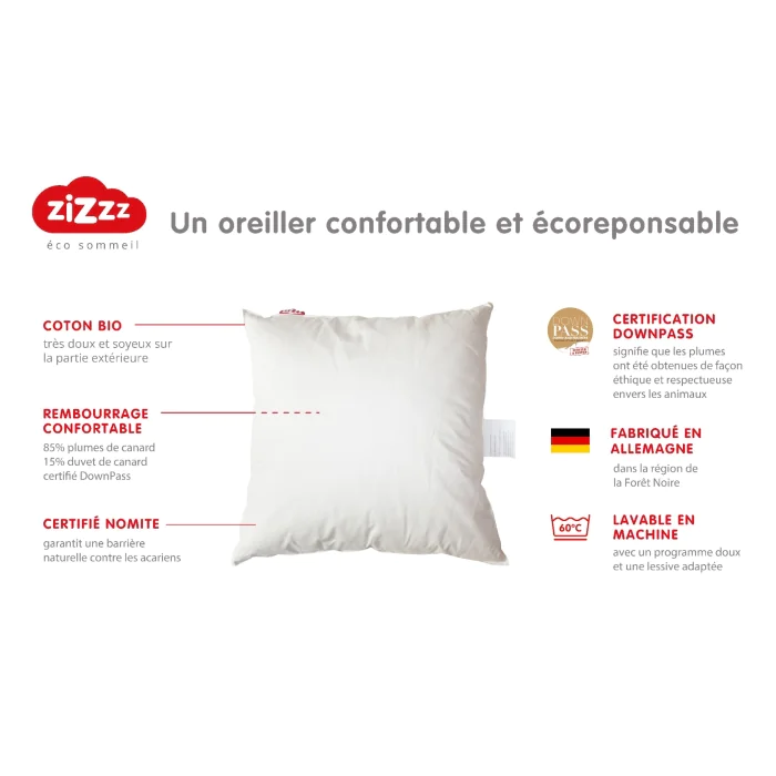 Oreiller plumes de canards – 60x60 CM – coton bio