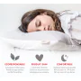 Oreiller plumes de canards – 60x60 CM – coton bio thumbnail
